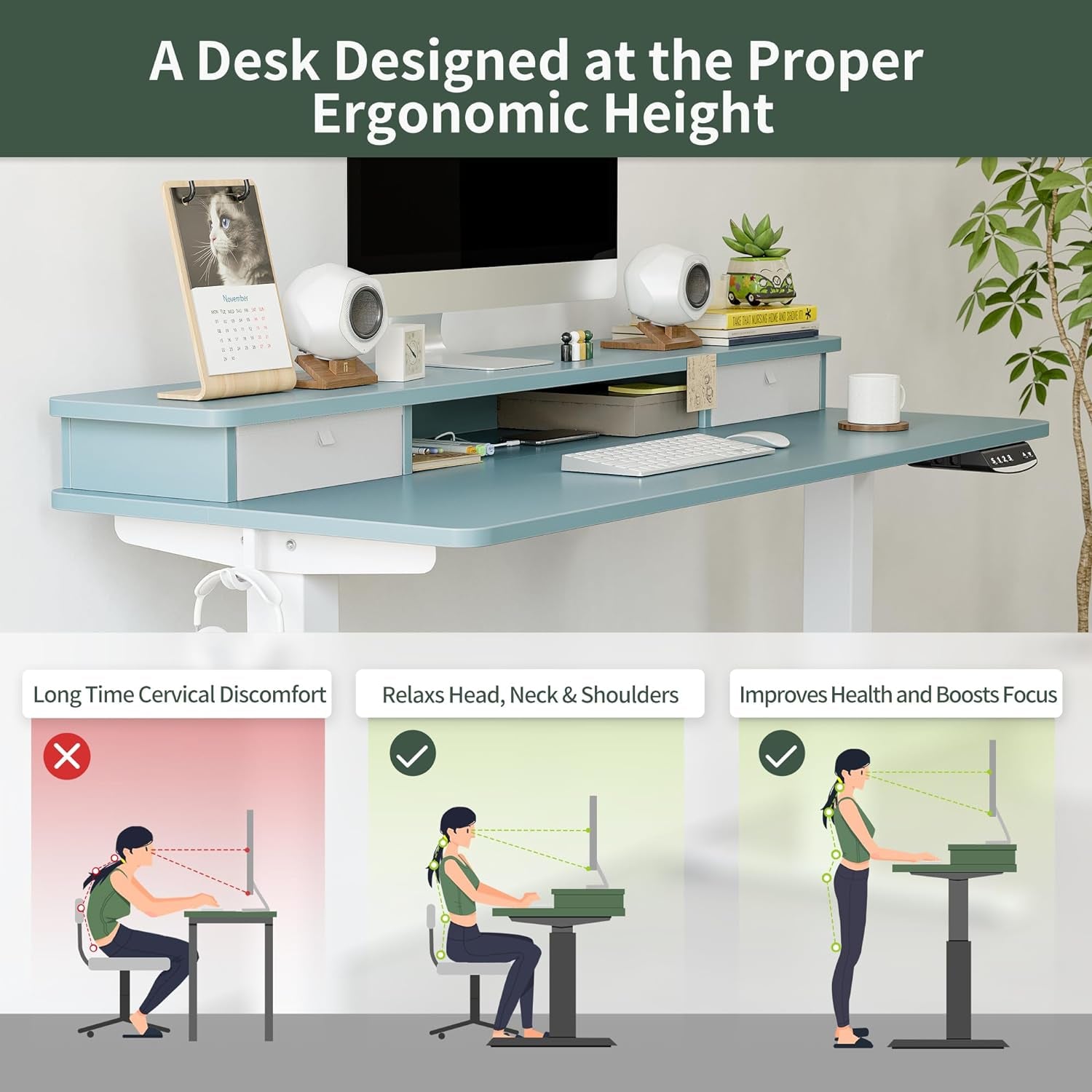 48 X 24 Inch Height Adjustable Electric Standing Desk with Double Drawer, Stand up Desk with Storage Shelf, Sit Stand Desk, Blue