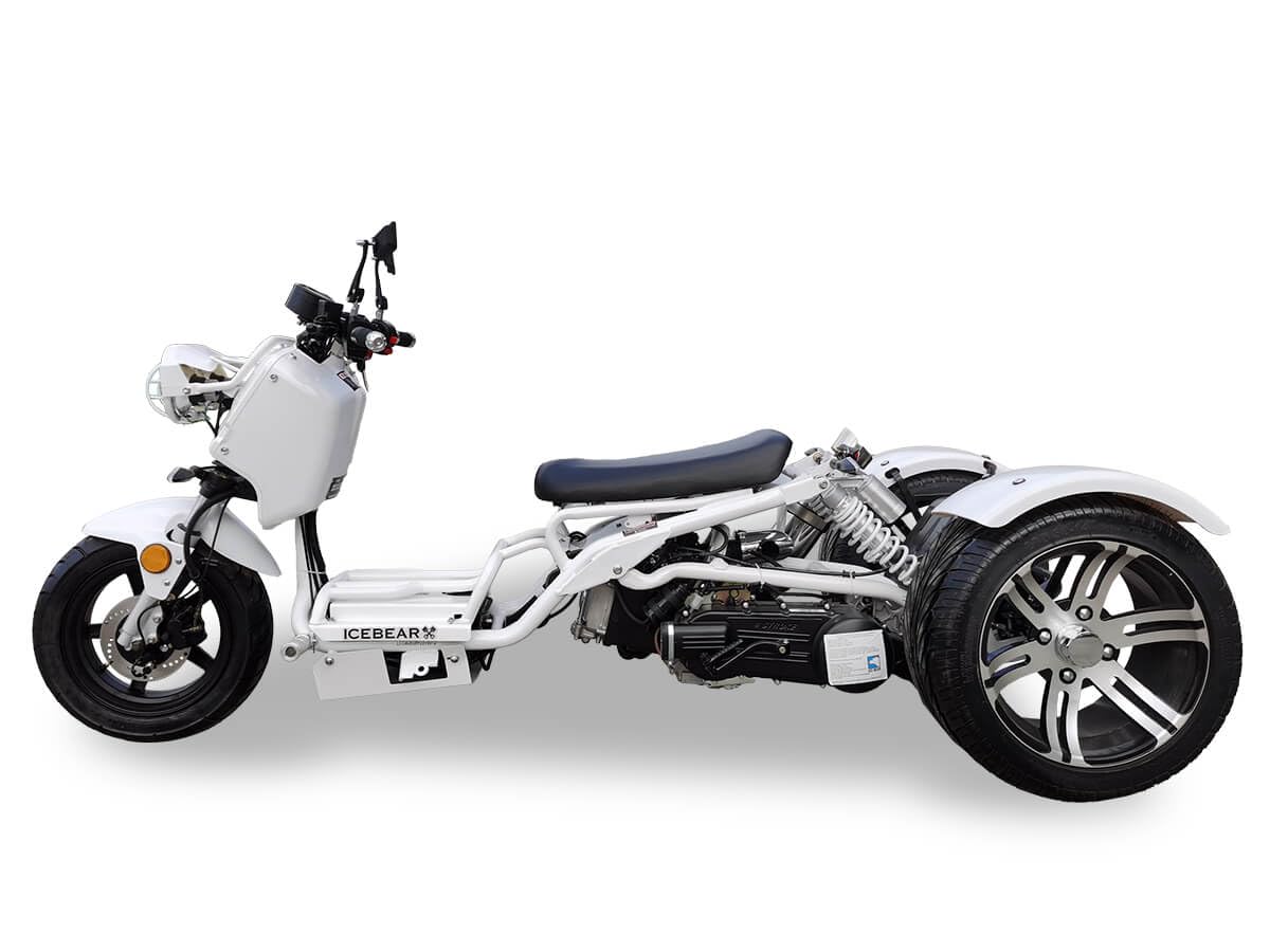 150CC MADDOG Trike | 3-Wheel Motorcycle | ICEBEAR PST150-19N