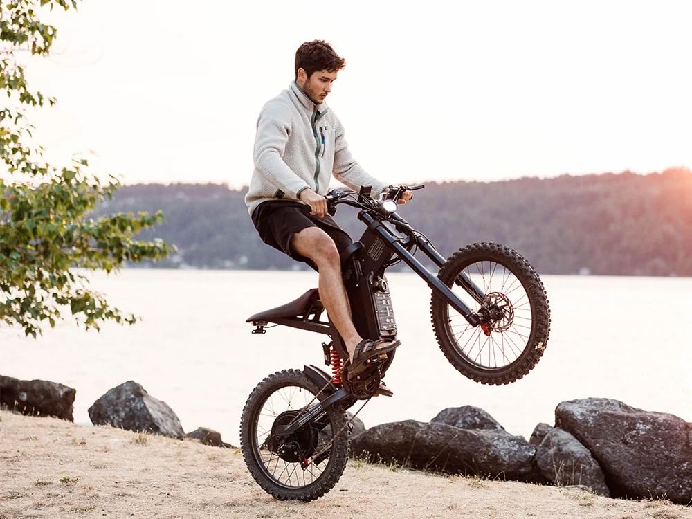 Freego X2 Electric Motorcycle for Adults, Electric Dirt Bike for Adult 6000W Motor 60V/30Ah Removable Battery, 60Mph/60Mile Electric Mountain Bicycle, 19" x2" Tire Full Suspension,Full Hydraulic Brake